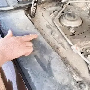 Descrição da imagem