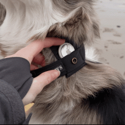 Keepaws™ Tactical AirTag Collar